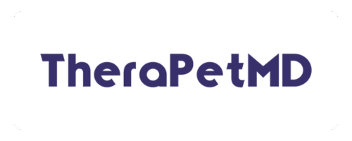 ArtAVA | Amplifying Creativity Through Design