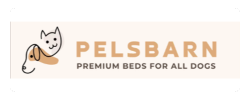 ArtAVA | Amplifying Creativity Through Design