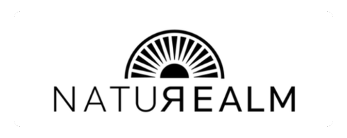 ArtAVA | Amplifying Creativity Through Design